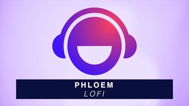 Phloem - LoFi
