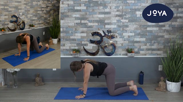 Vinyasa Flow with Madison - Heart Ope...