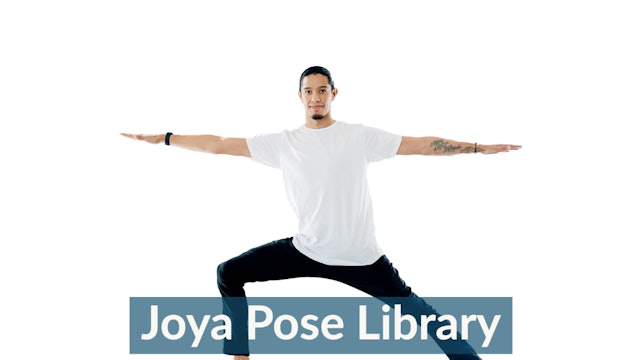 Joya Pose Library