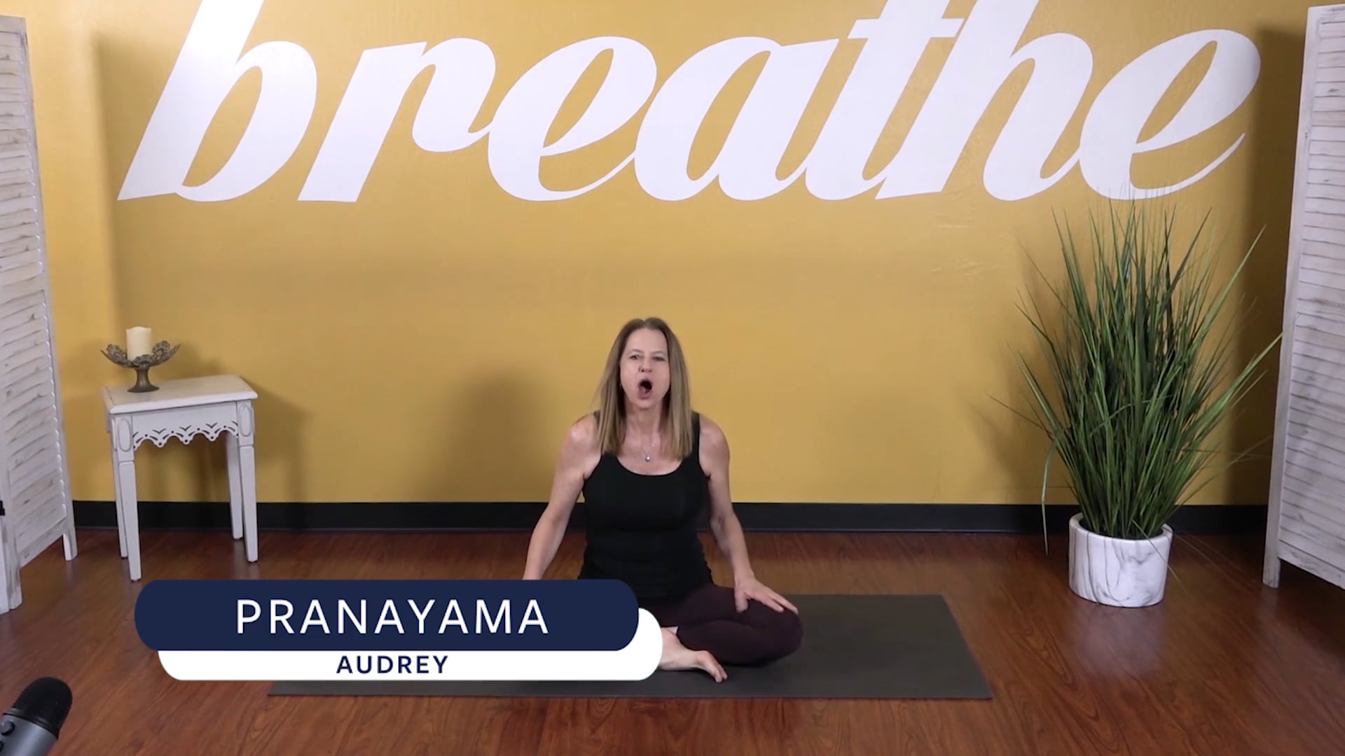 Pranayama with Audrey