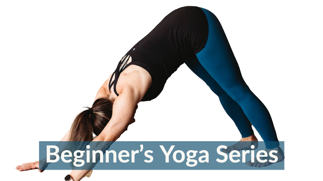 Beginner's Yoga Series
