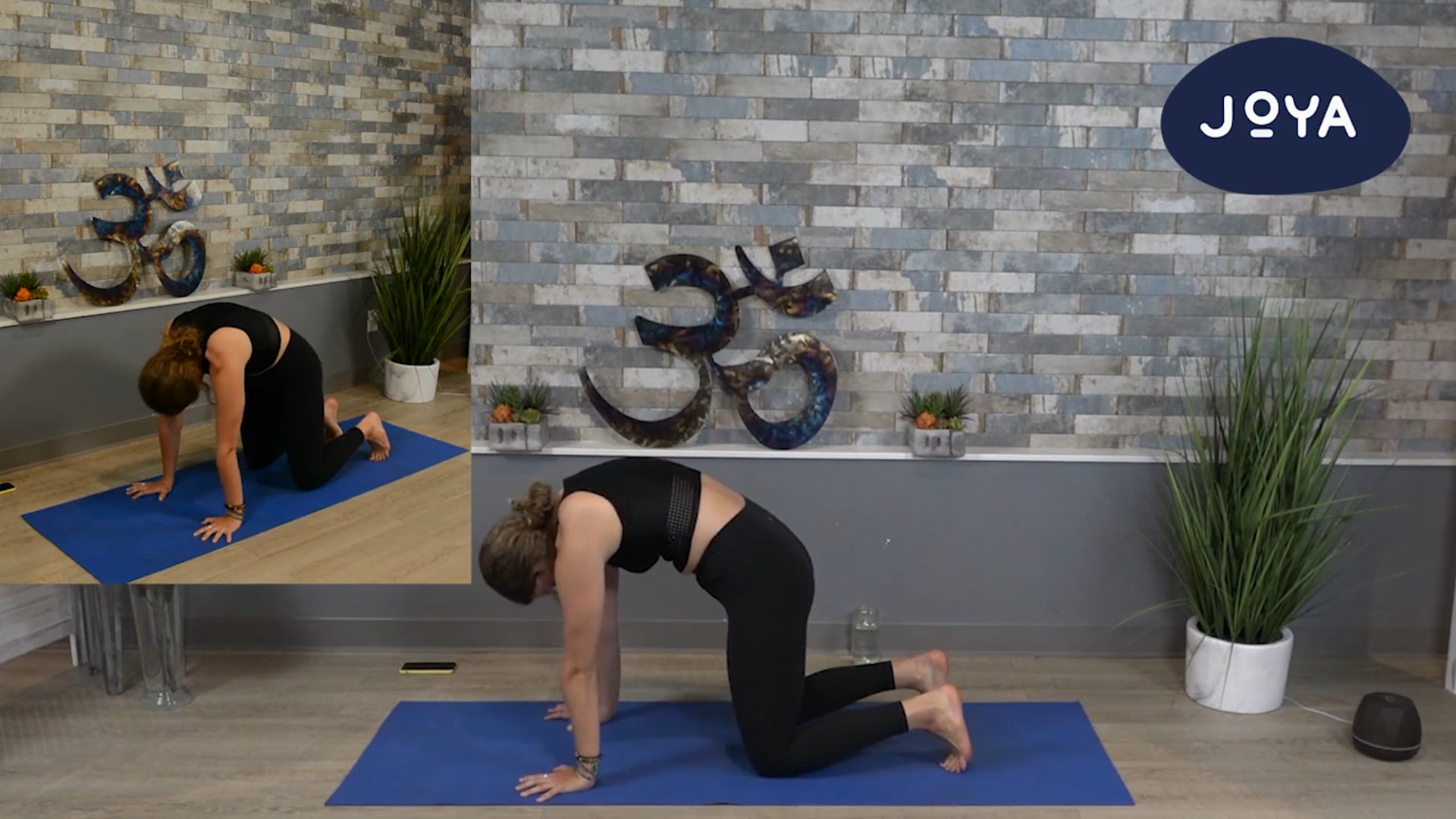 Vinyasa Flow with Madison