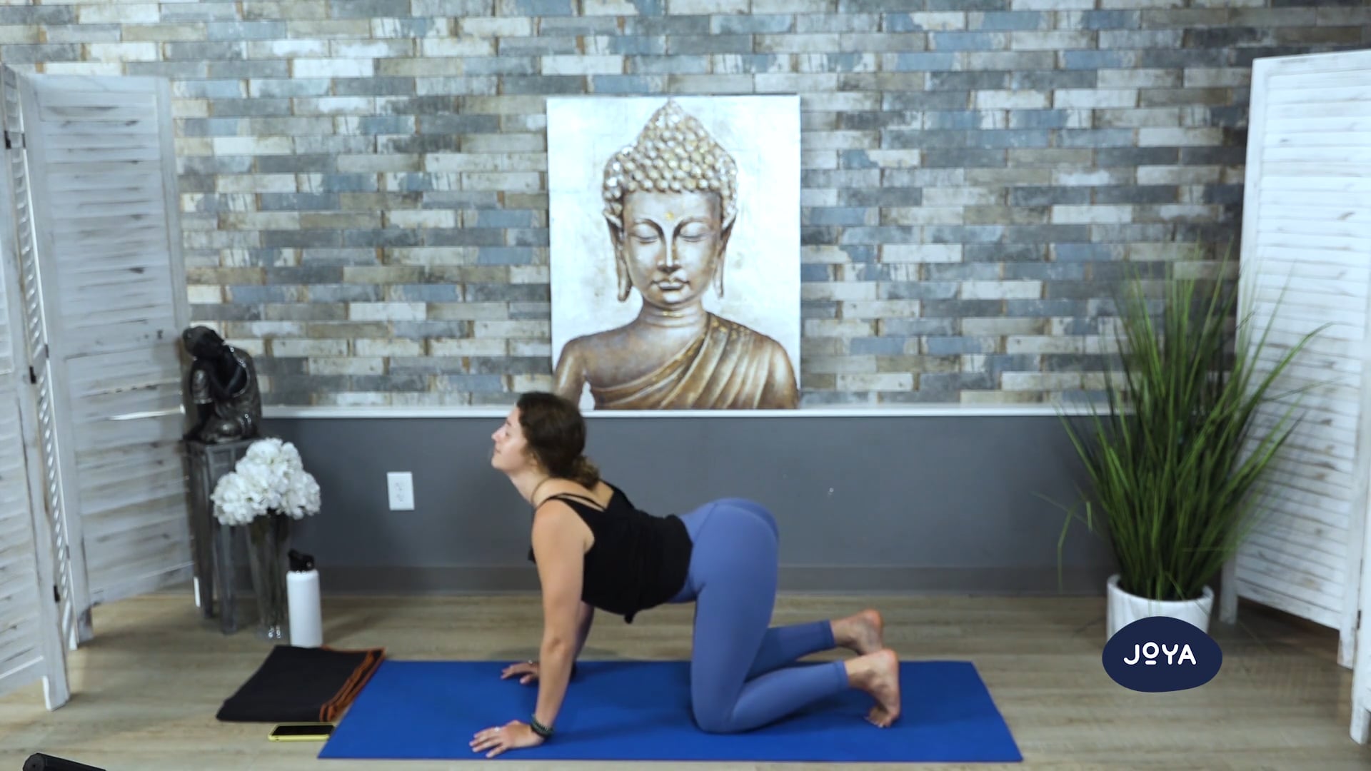 Vinyasa Flow with Madison - Core Focus