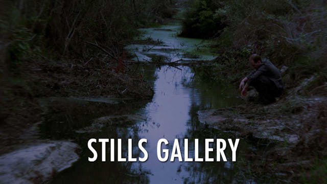 Extra - Stills Gallery