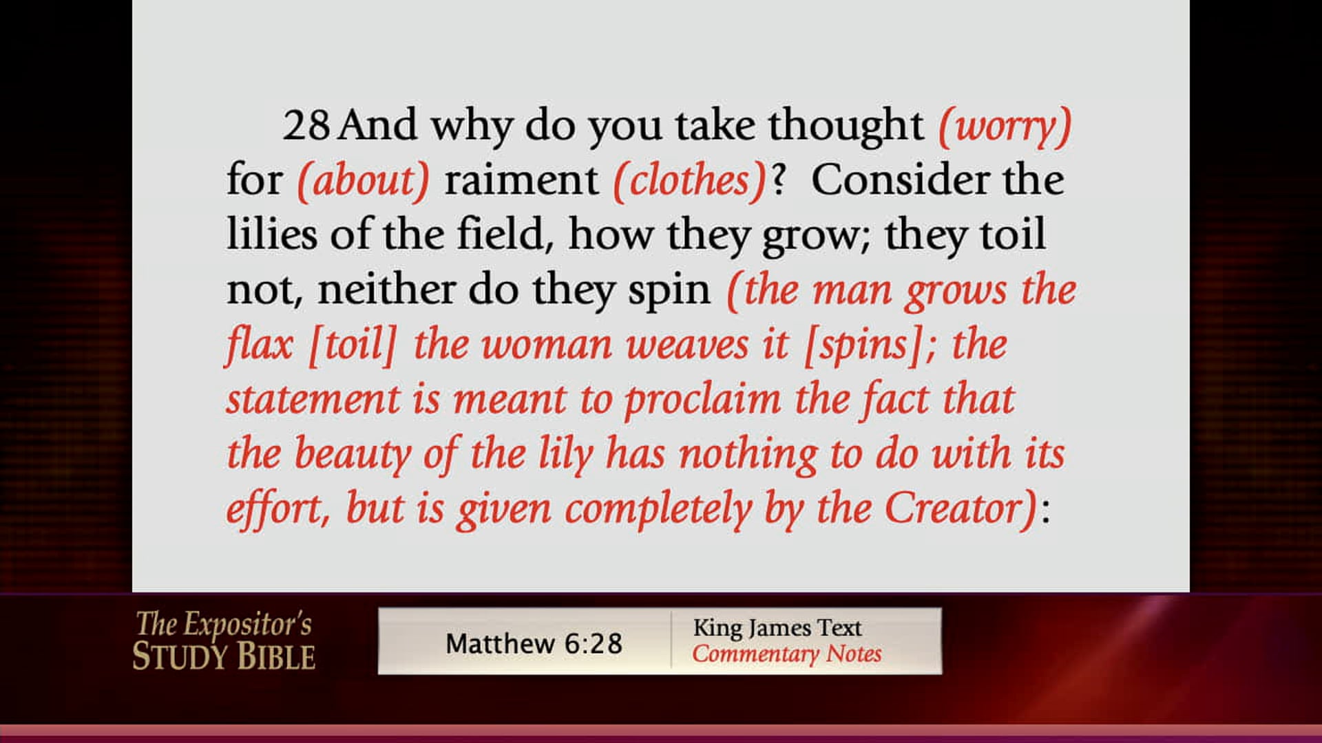 Frances & Friends - Feb. 11th, 2021