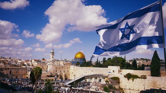 Insight - November  25th,  2025