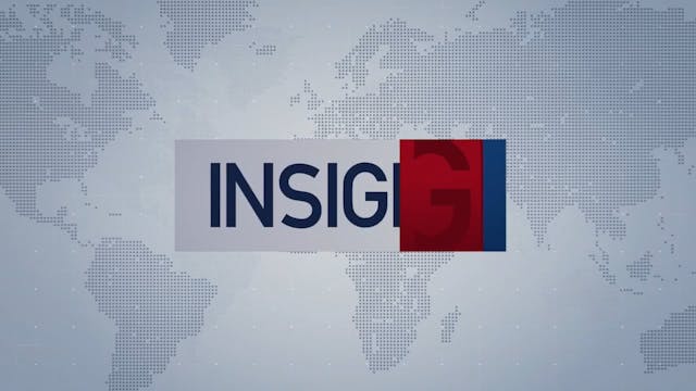 Insight - November  14th,  2025