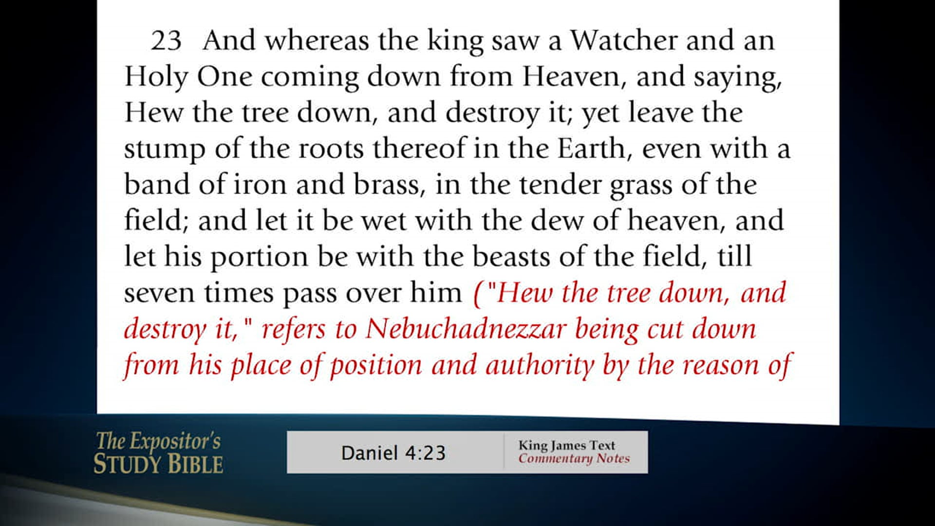 A Study In The Word - Dec. 29th, 2020