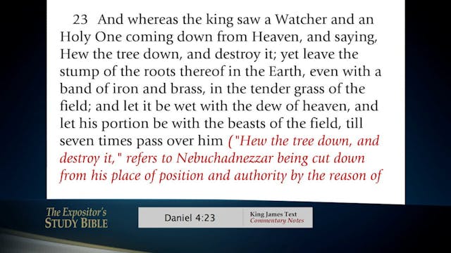 A Study In The Word - Dec. 29th, 2020