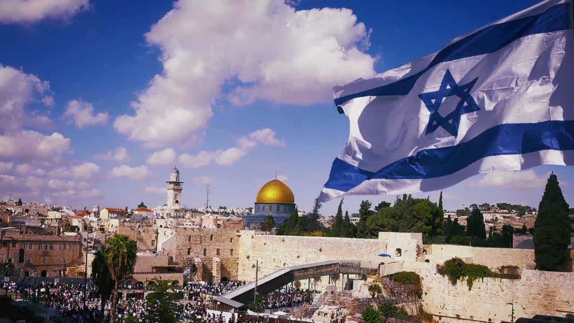 Insight - Feb. 5th, 2019