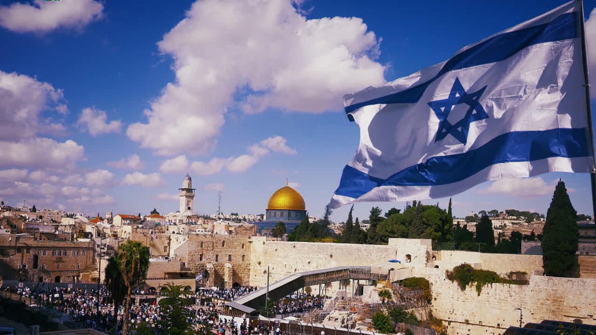 Insight - June  24th,  2025