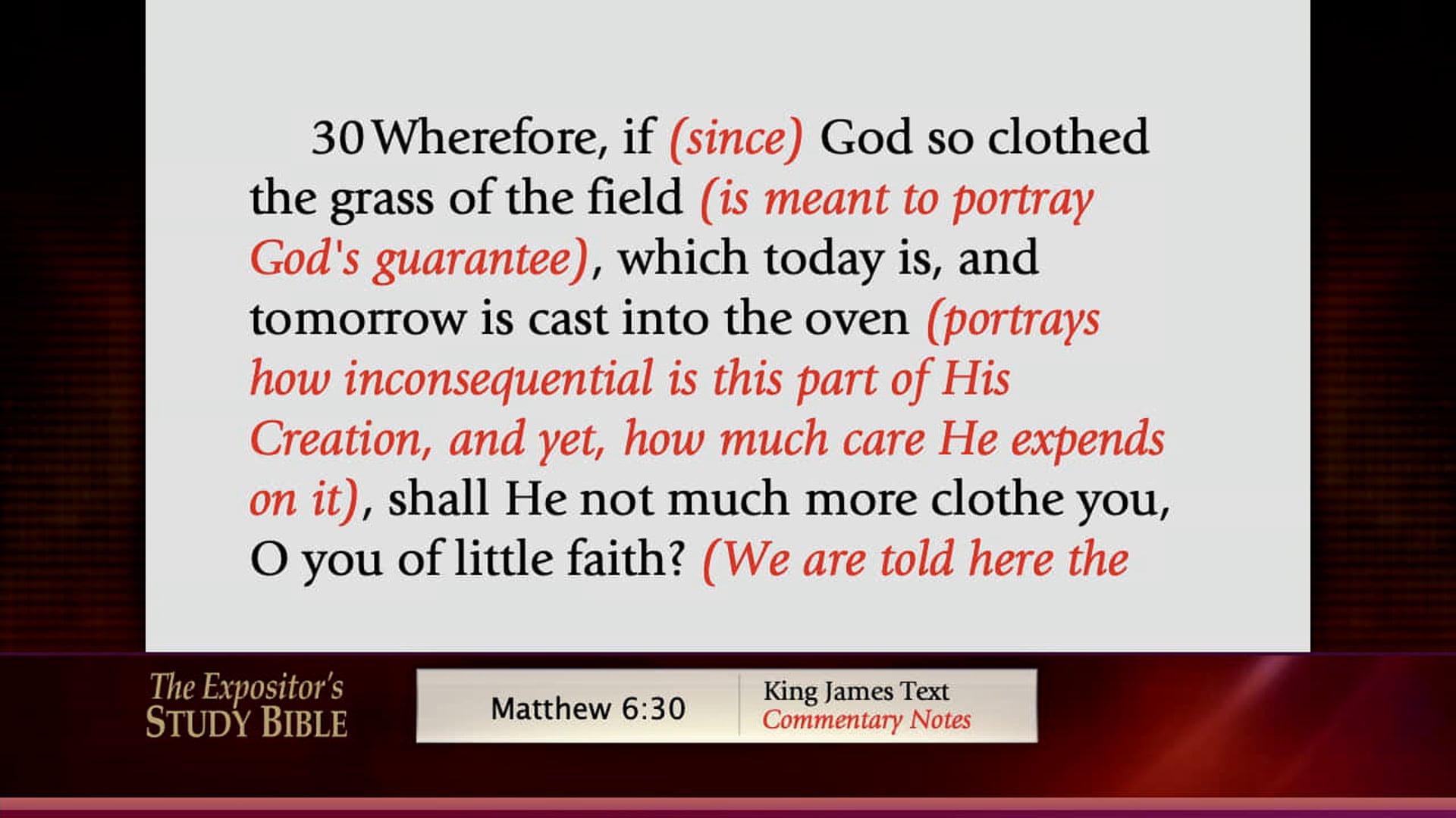 Frances & Friends - Nov. 13th, 2020