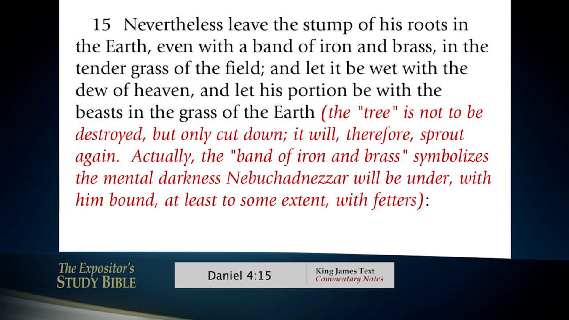 A Study In The Word - Dec. 28th, 2020