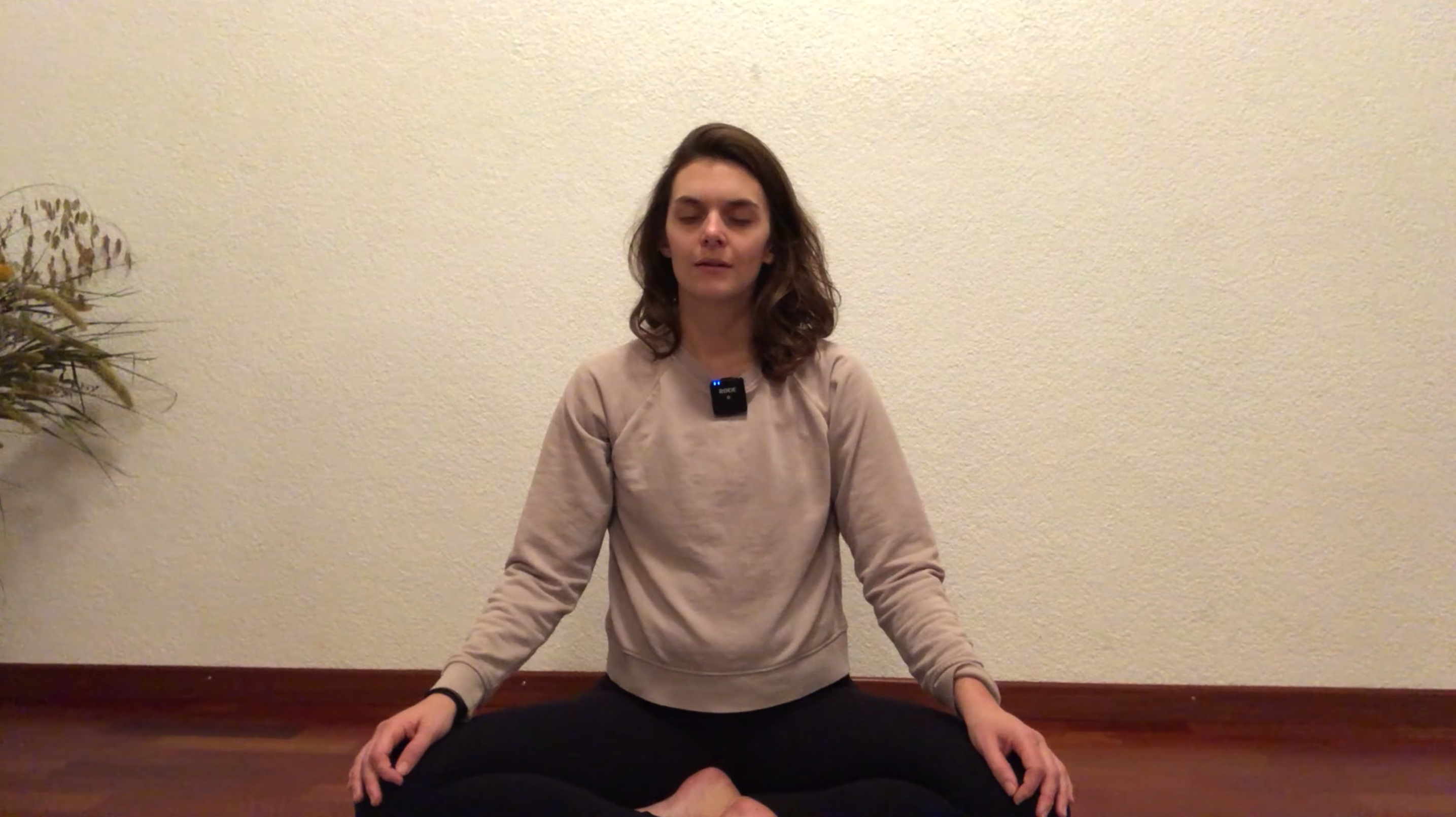 8 min Meditation - Reset Yourself