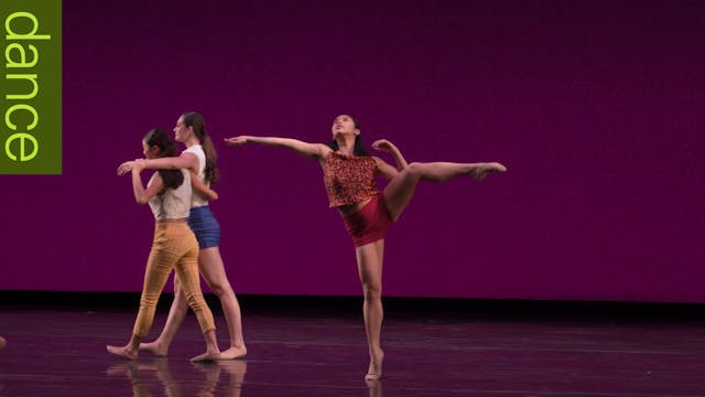 A Winter Awakening | Caili Quan