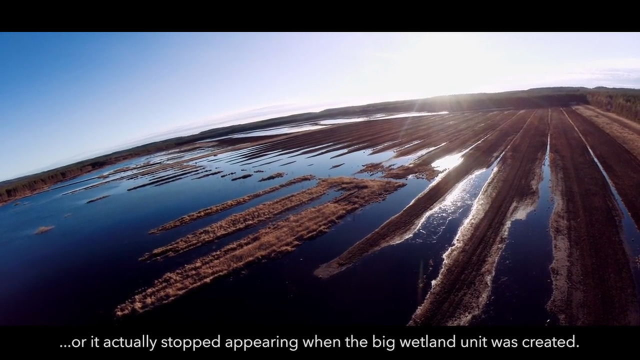 Our Place on Earth Selkie Trailer-HD