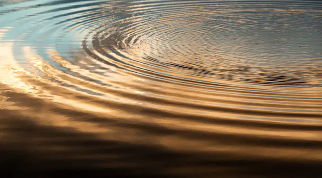 Mar 24: Release Tension: Frontal Lobe...