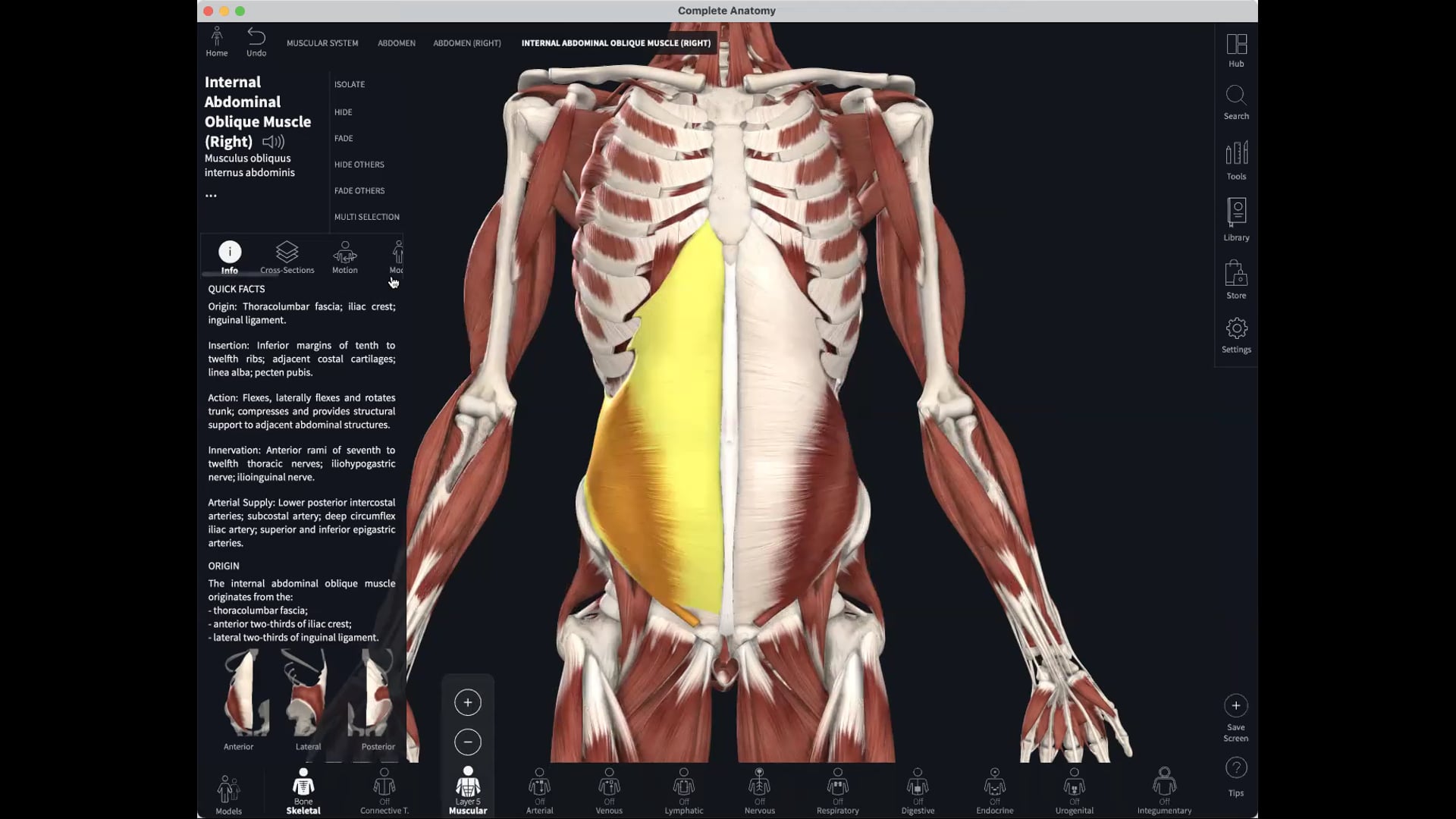 April 8: Conscious Core Practice