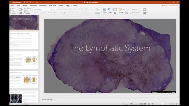 Day Ten, Part One: The Lymphatic Syst...