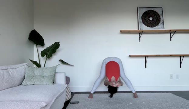 Aug 1: Traditional Ashtanga, Flow & B...