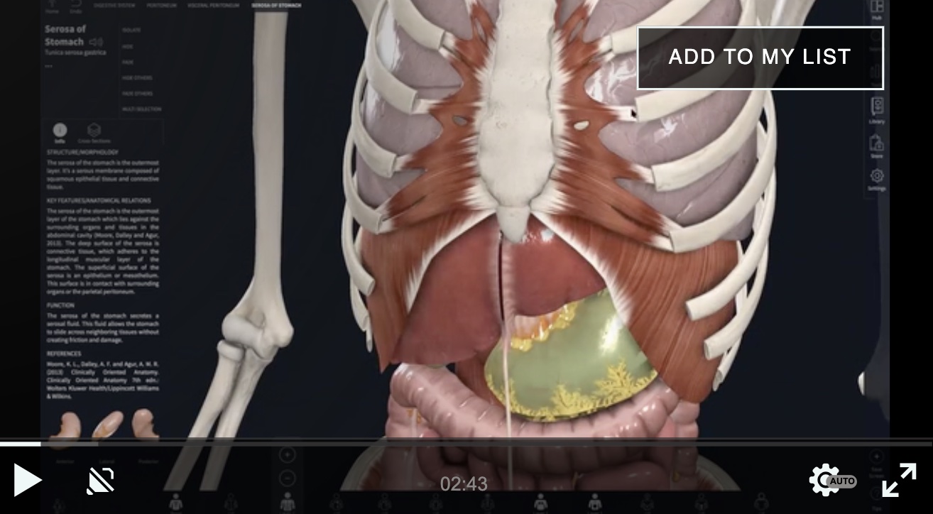 Sweat, Cleanse, Core, Twists, Digestion (Sept 20)