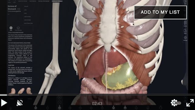 Sweat, Cleanse, Core, Twists, Digesti...