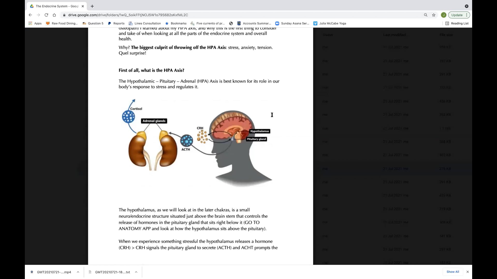 Day Four, Part Four: The Adrenals & Sex Hormones (46 min) 