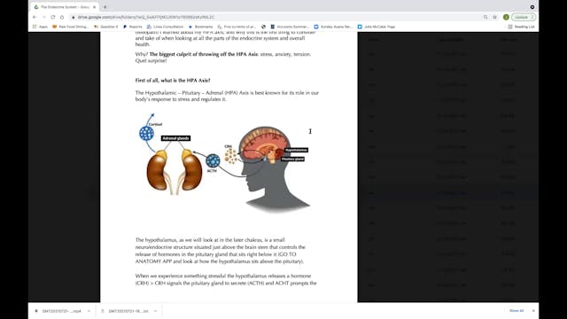 Day Four, Part Four: The Adrenals & S...