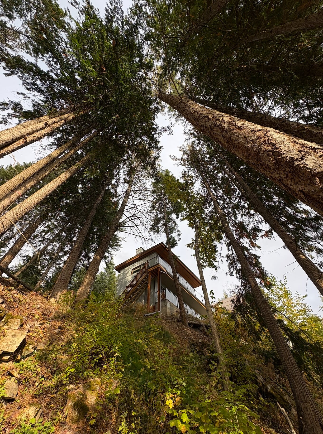 Men's Retreat Class #3: Dopamine Three-Part Breath (18 min)