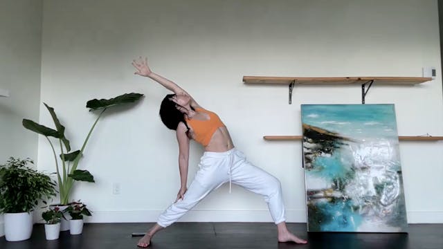 July 15: Intermediate Vinyasa - Hips ...