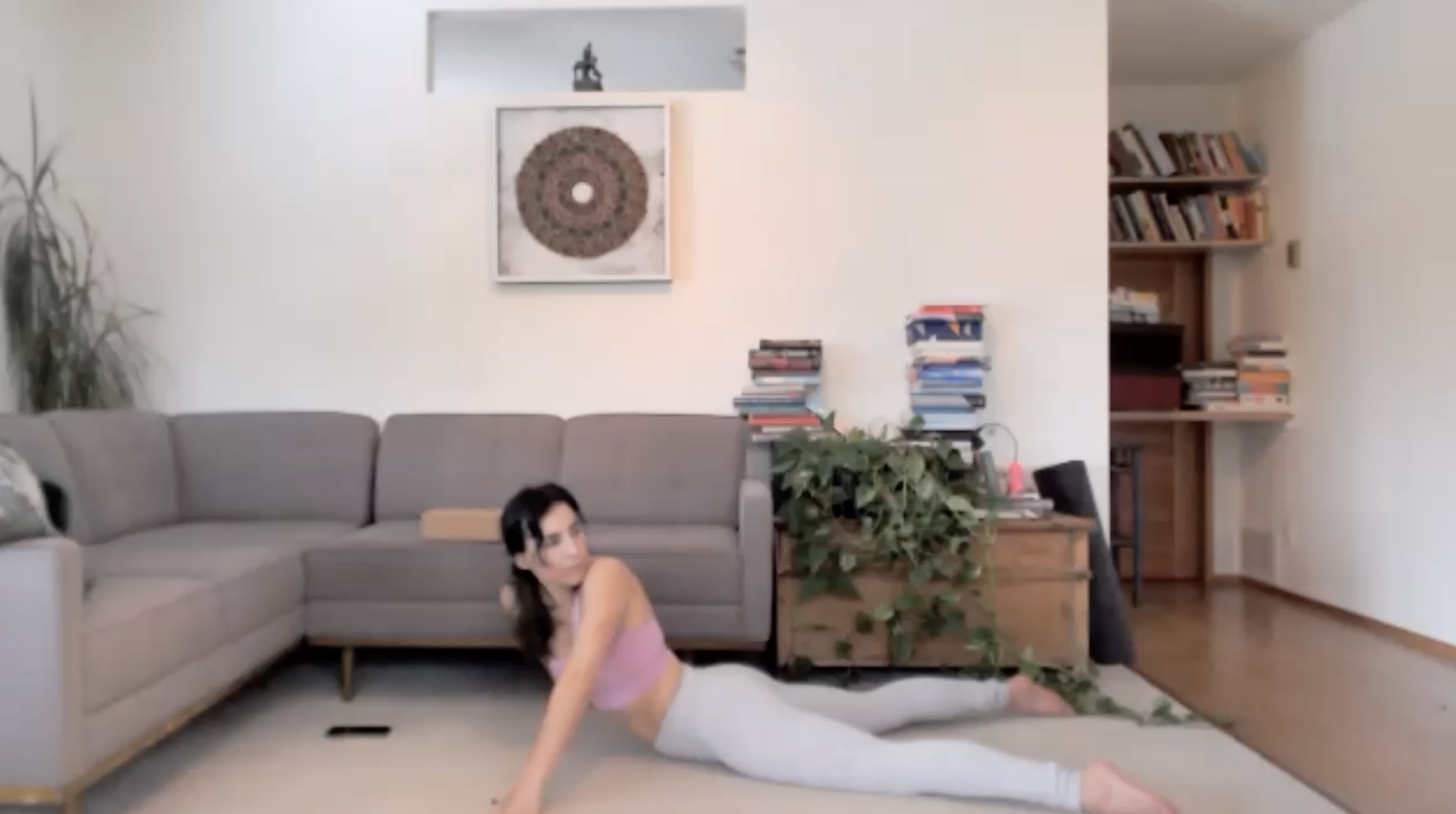 Hips, Spine & Moving Fluids/Prana (60 min)