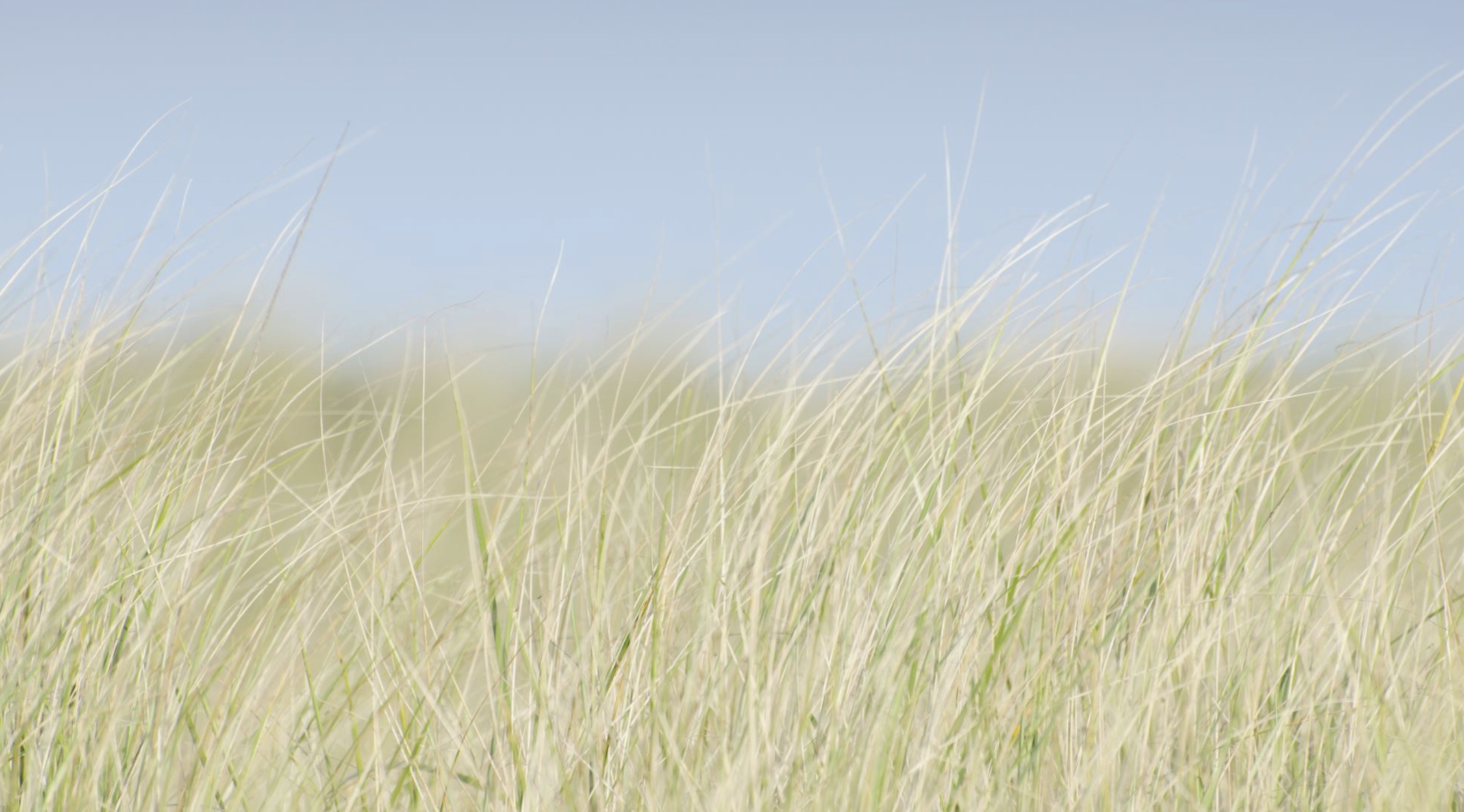 Aug 23: Let Go Advanced Breath Practice: (29 min) 