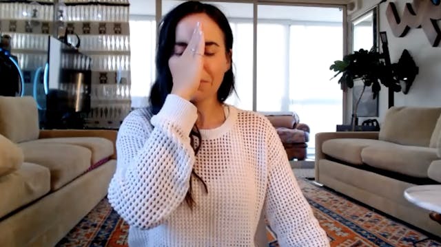 Quiet Pranayama (30 min)