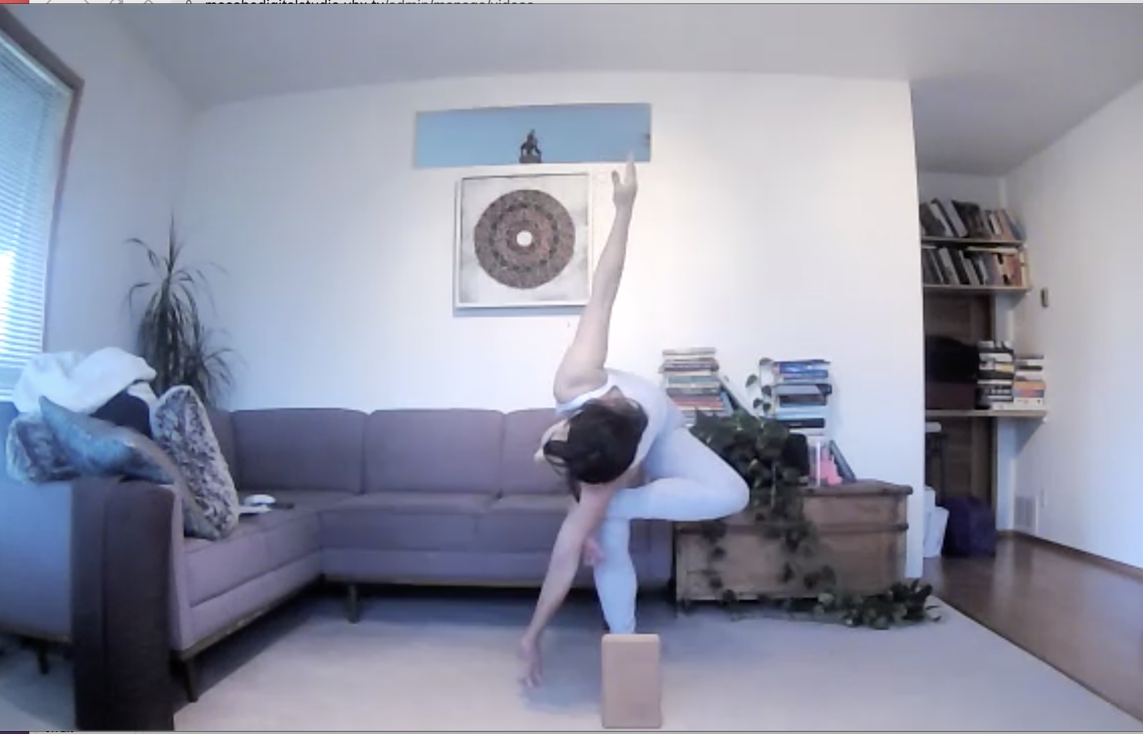 Twists + Hamstrings + Brain Balance (Nov 24)