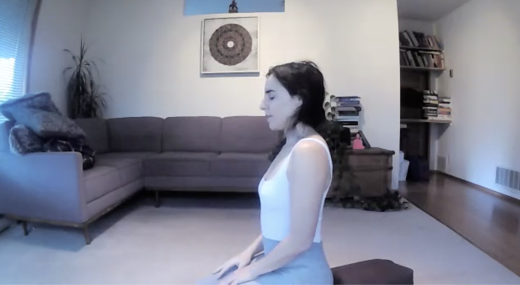 TOP FIVE FAVE PRANAYAMA 4. SUDARSHAN KRIYA (Dec 2)