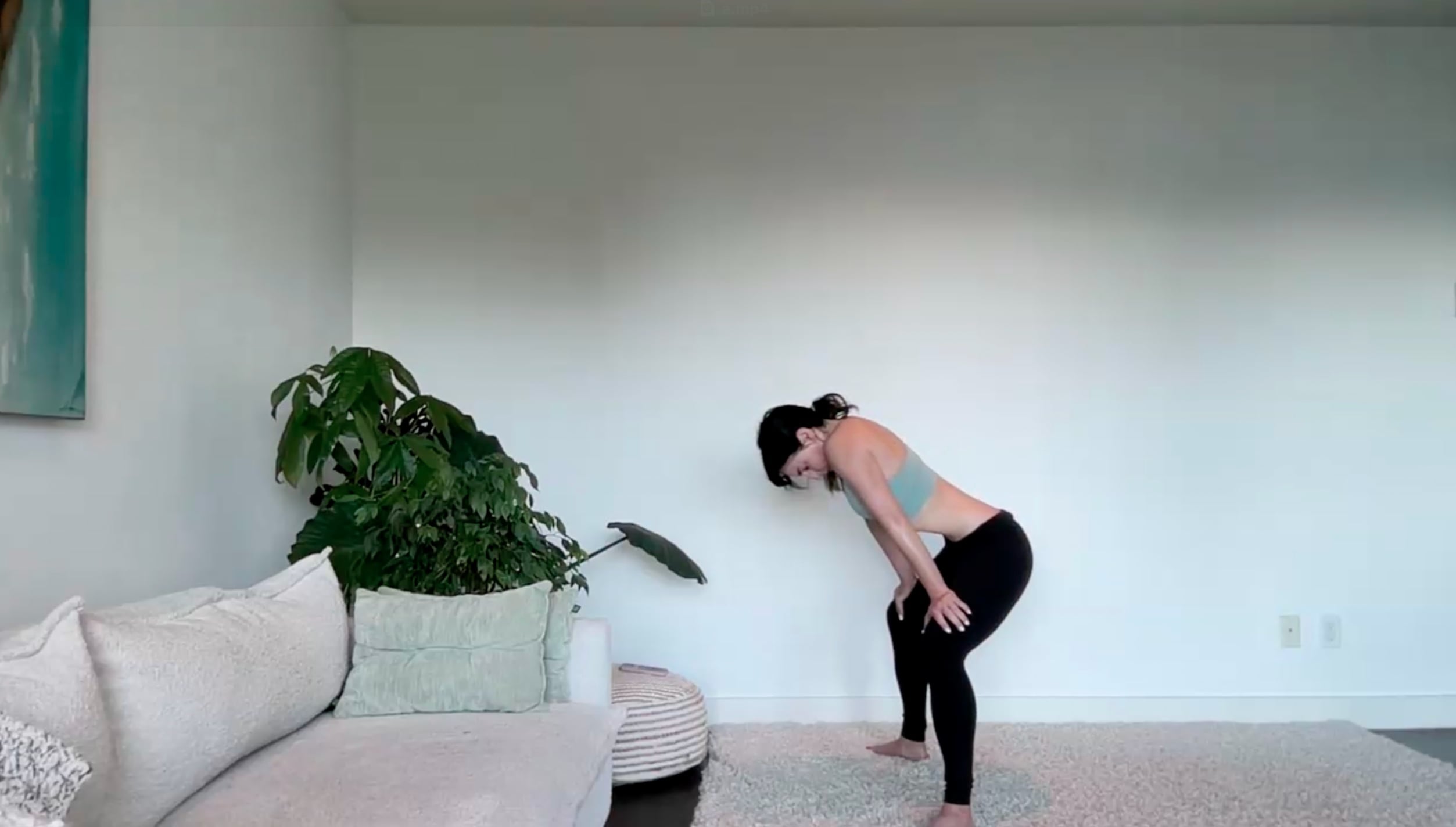 July 17: Organ-Detox-Flow (with some Breath - 62 min) 