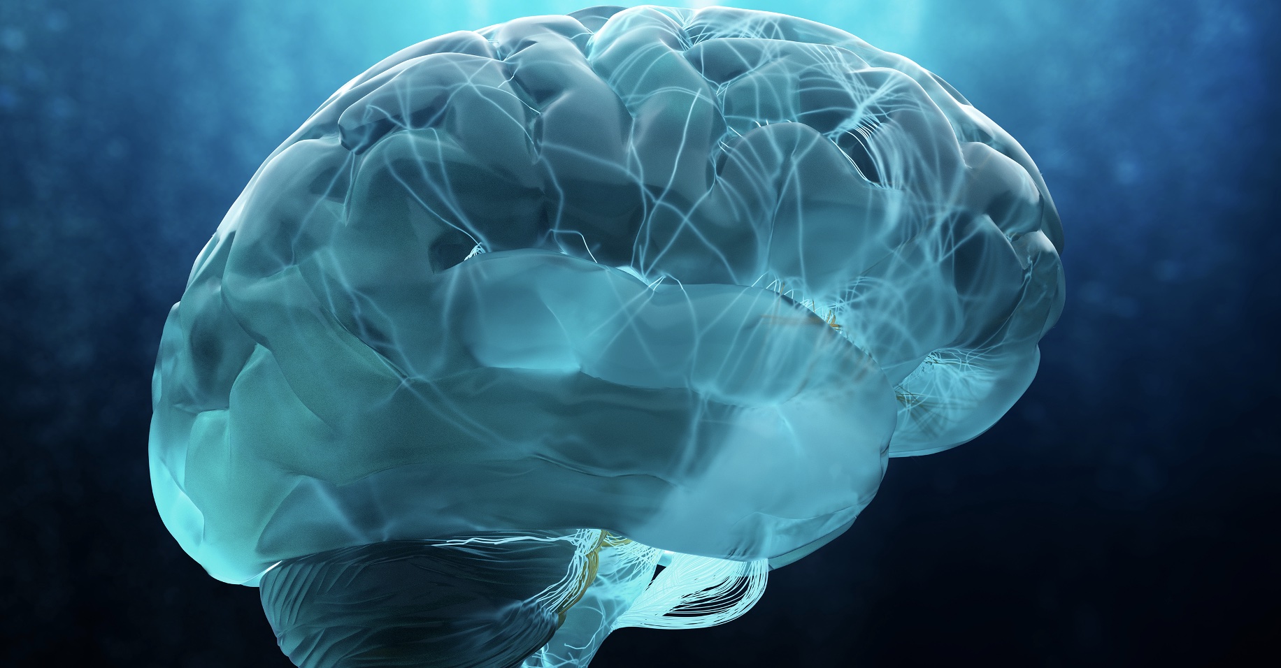 Feb 18: Neuroscience of Grief & Loss + Gentle Breathing for Low Energy (33 min) 