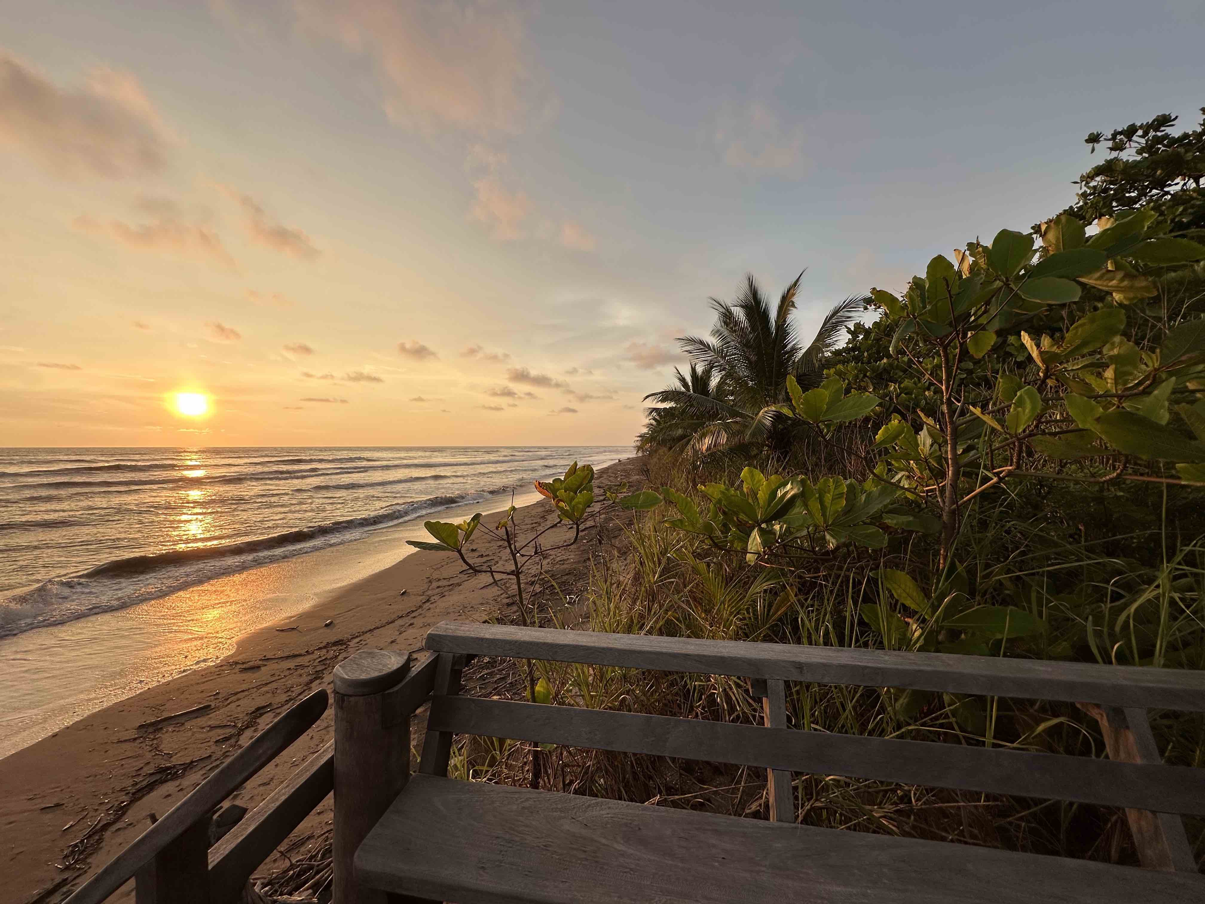 Oct 8: Jungle Series: Spinal Breath (30 min)