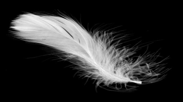 May 20: Levity, Humour & Lightness Br...