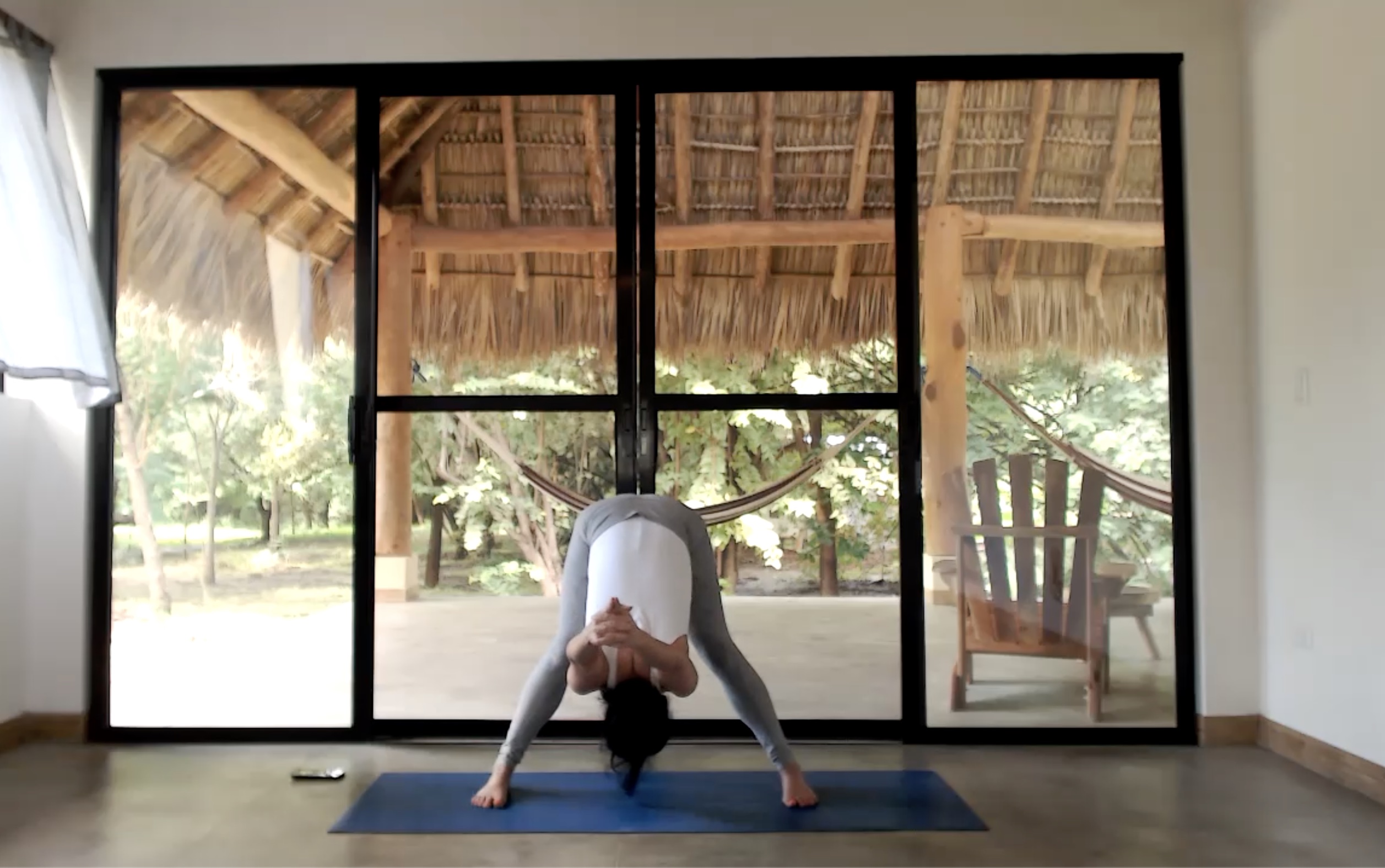 Full Body + Light Cathartic Flow (60 min) 