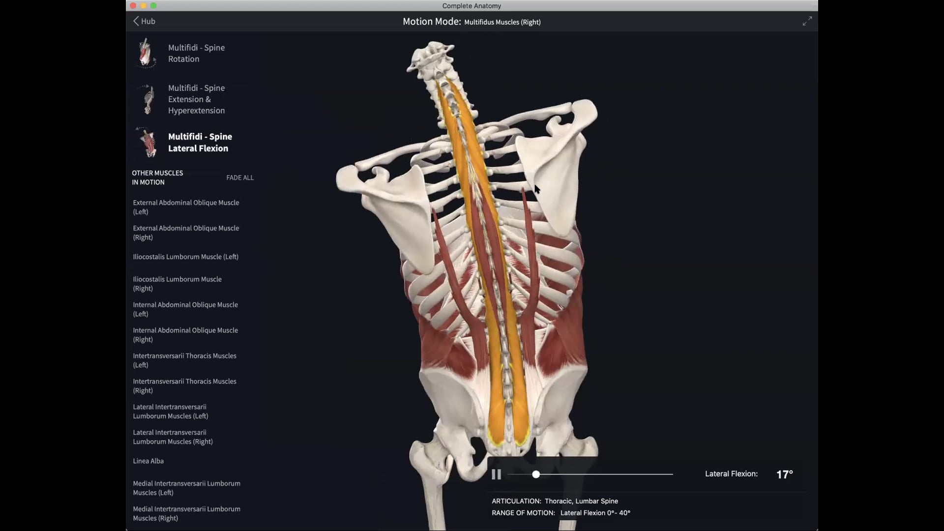 March 3: The Spine: Multifidus in Brief