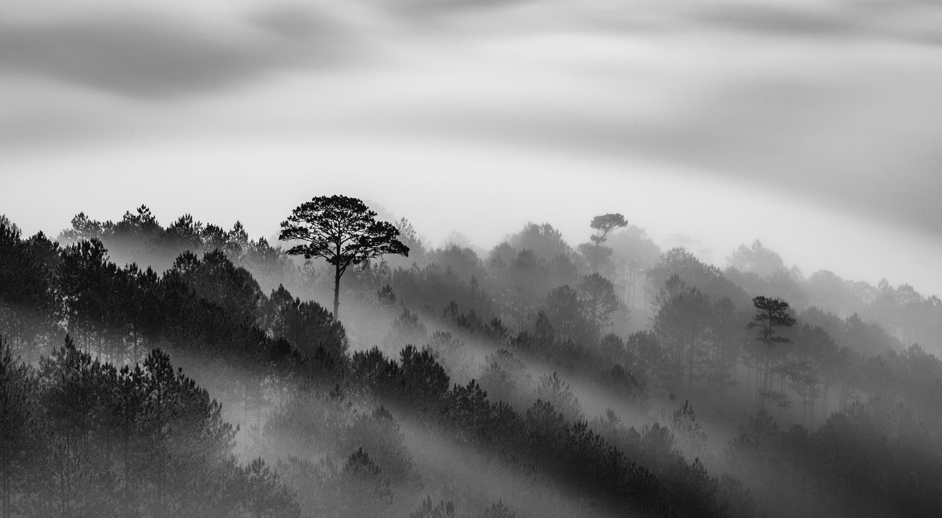 Mar 16: Rise Up: Moderate Breath & "Arjuna's Despair" (33 min)