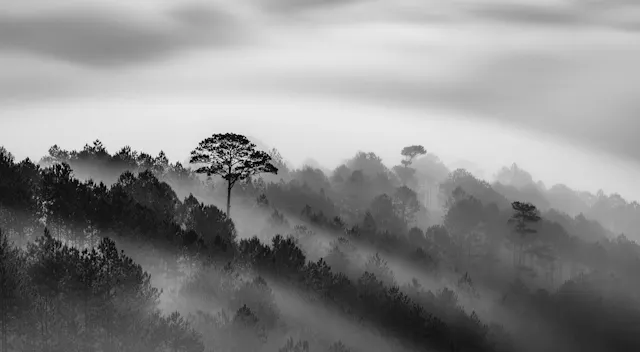 Mar 16: Rise Up: Moderate Breath & "A...