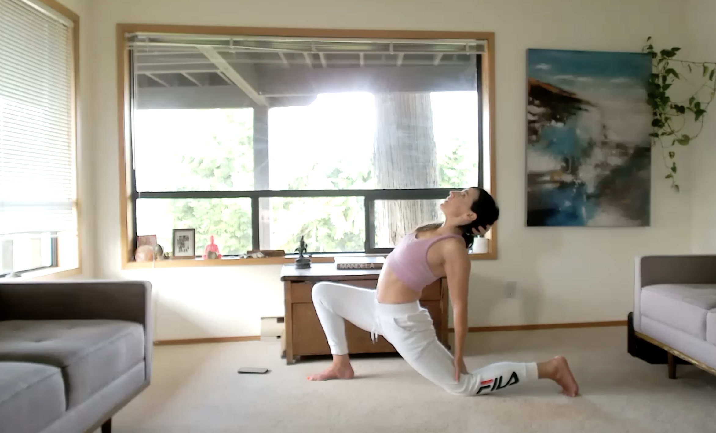 Shoulders & Backbends (45 min) 