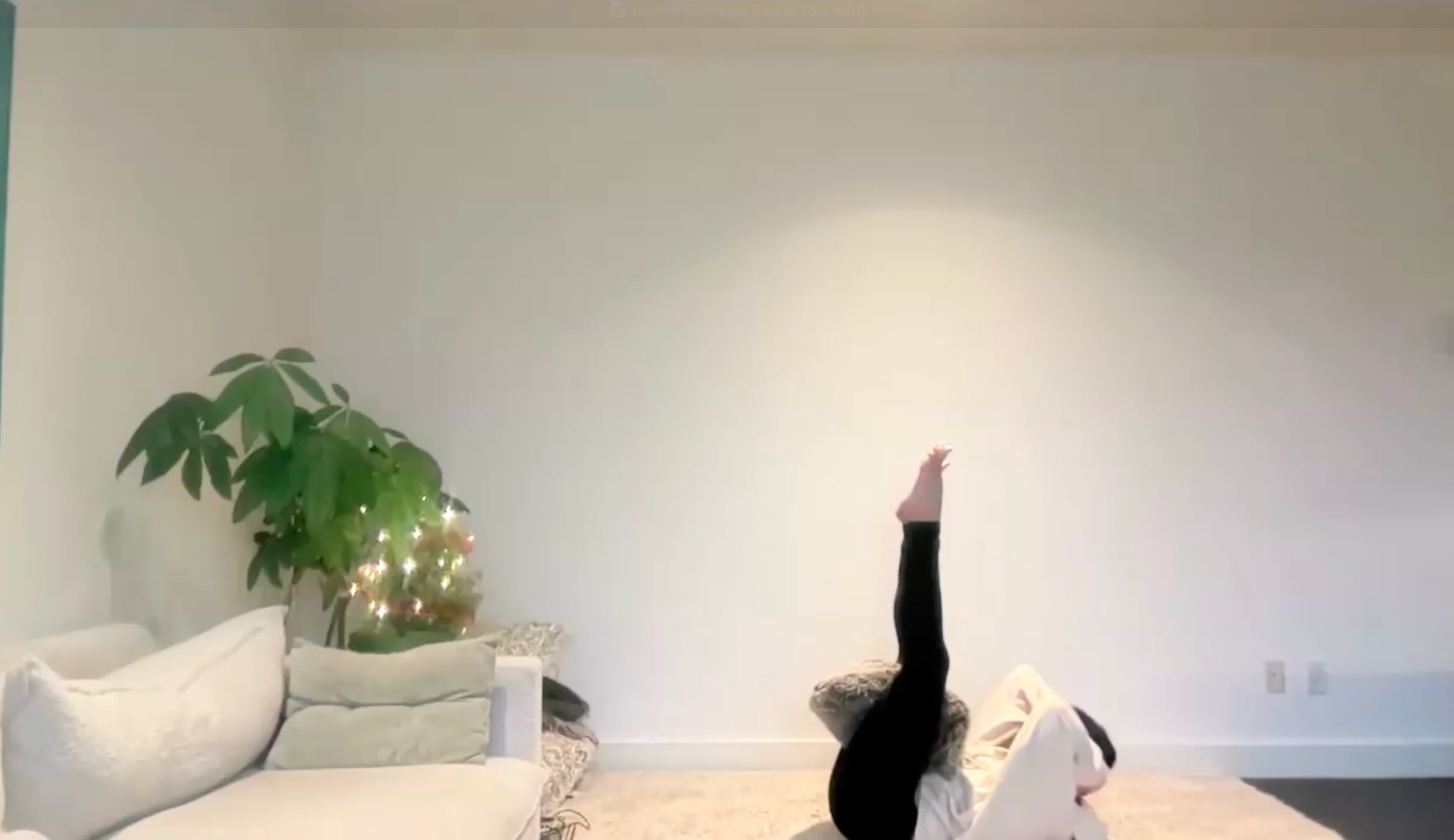 Jan 29: Core + Somatic Sweat (30 min)