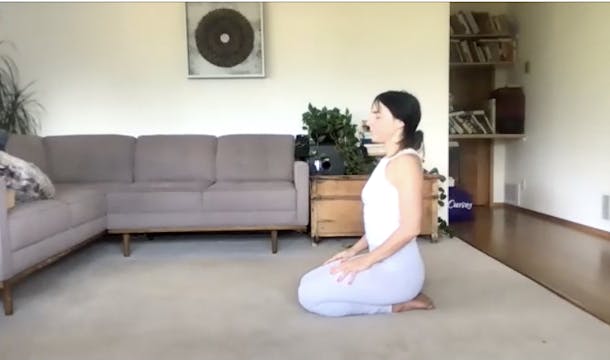 Aug 25: GLUTEALS, Hips & Pelvis