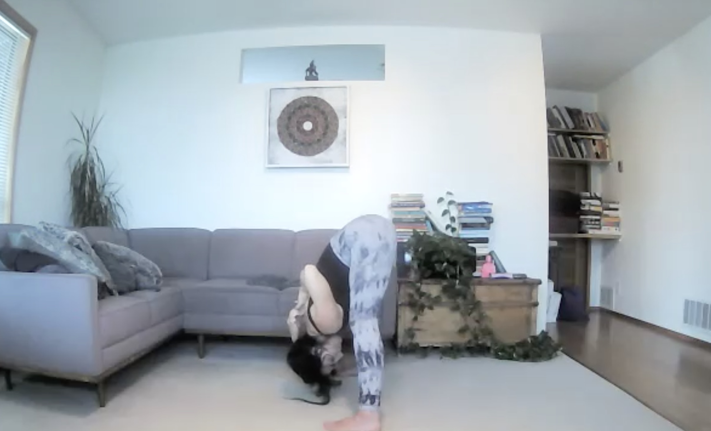 Spinal Lubrication, Pulses + De-stressing Asana (62 min)