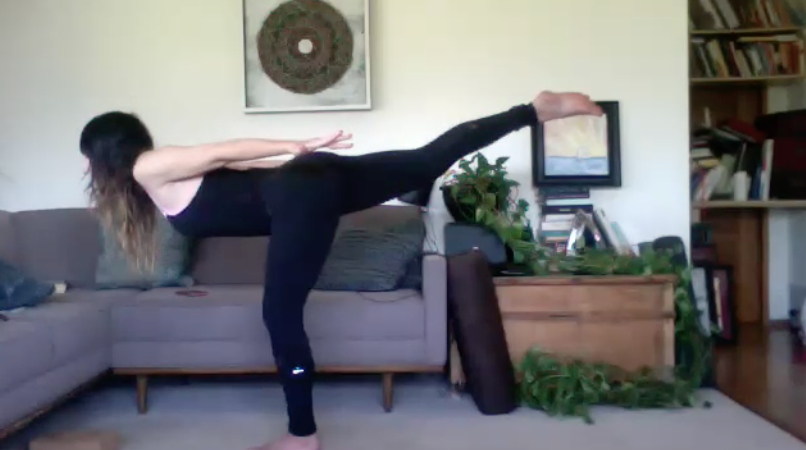 ADVANCED ANATOMY: HORMONE-THEMED, EMBODIMENT & KUNDALINI CLASSES