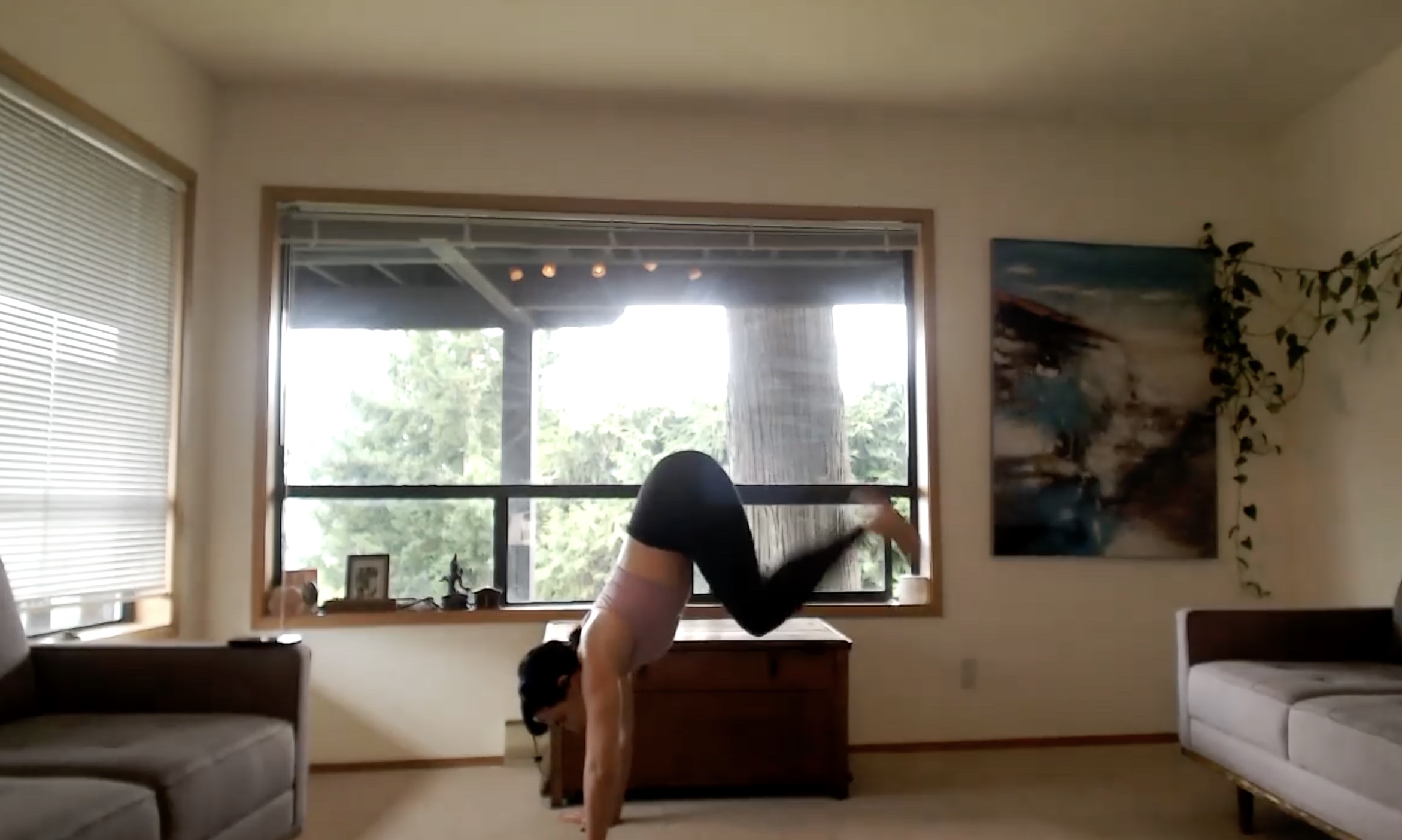 Cathartic Flow + Sweat (50 min) 