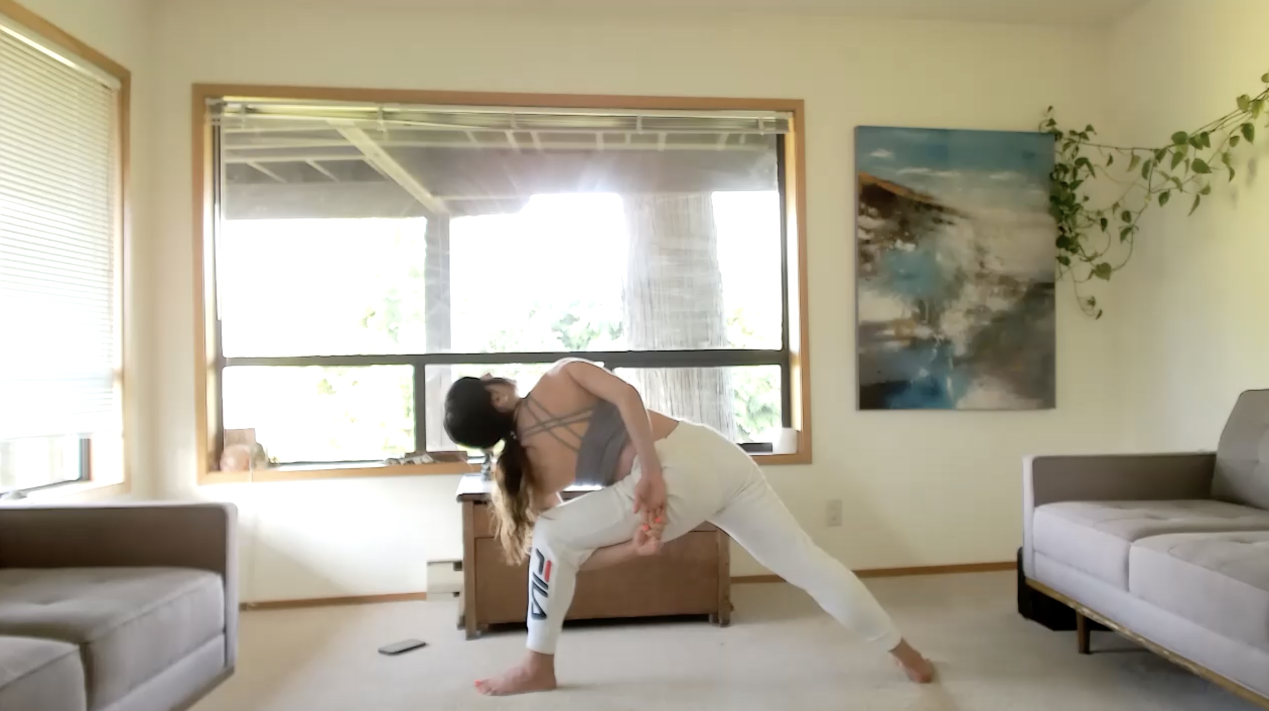 Steady Hip Flow (45 min)